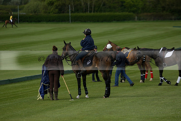 Las Estrellas v Shoreline in a May 4 Goal Spring Cup Polo match 2013.05.15