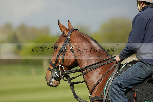 Creed Polo v Clashleigh in a Dollar Cup Polo match 2013.05.15