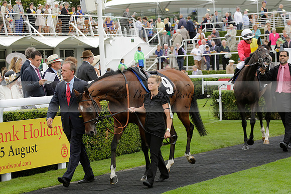 Race 6 Goodwood The British Stallion Studs Turf Club E.B.F. Fillies Stakes. 20130731. Race winner Ribbons owner Elite Racing Club
