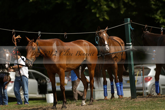 El Remanso v Sumaya in a Veuve Clicquot Gold Cup Polo Match 2013.07.13