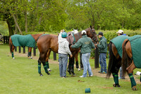 UAE Polo Team v Salkeld in a Queens Cup polo match 2013.05.23
