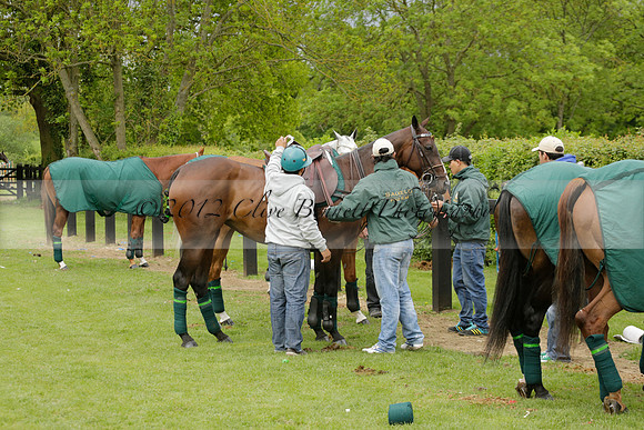 UAE Polo Team v Salkeld in a Queens Cup polo match 2013.05.23