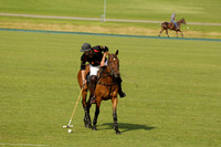 Shoreline v Cowdray Vikings in a Easebourne Cup Semi-final Polo match 2013.06.07