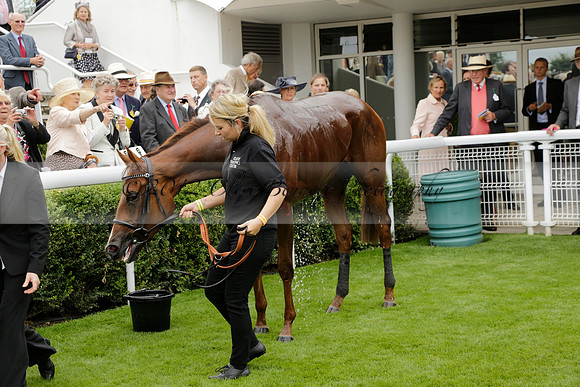 Race 6 Goodwood The British Stallion Studs Turf Club E.B.F. Fillies Stakes. 20130731. Race winner Ribbons owner Elite Racing Club
