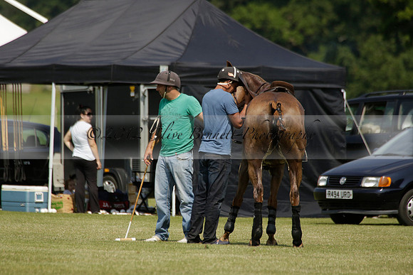 Zacara v Les Lions in a Veuve Clicquot Gold Cup Polo Match 2013.07.06