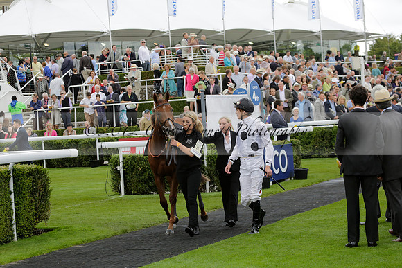 Race 6 Goodwood The British Stallion Studs Turf Club E.B.F. Fillies Stakes. 20130731. Race winner Ribbons owner Elite Racing Club