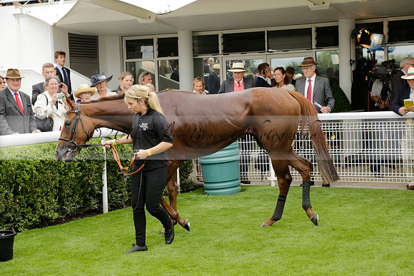 Race 6 Goodwood The British Stallion Studs Turf Club E.B.F. Fillies Stakes. 20130731. Race winner Ribbons owner Elite Racing Club