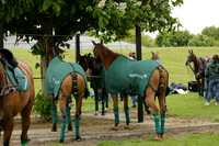 UAE Polo Team v Salkeld in a Queens Cup polo match 2013.05.23