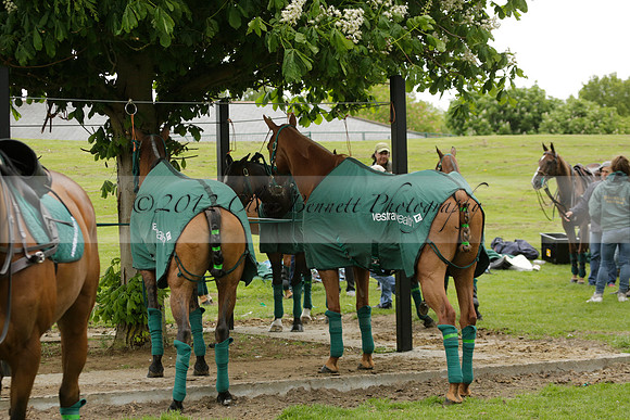 UAE Polo Team v Salkeld in a Queens Cup polo match 2013.05.23