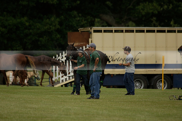 Dubai v La Bamba de Areco in a Veuve Clicquot Gold Cup Polo Match 2013.07.04
