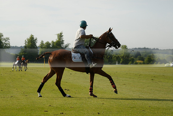 Shoreline v Cowdray Vikings in a Easebourne Cup Semi-final Polo match 2013.06.07