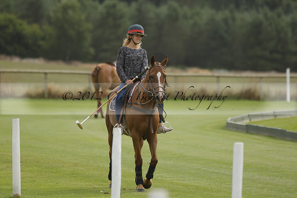 Beau Design v Boscom in an August Rother Cup 4 goal polo match at Cowdray Park Polo Club on Wednesday 07 August 2013