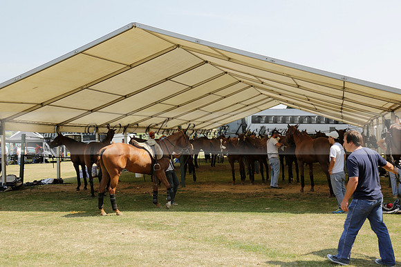 Zacara v Talandracas in a Veuve Clicquot Gold Cup Polo Match 2013.07.18