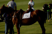 Combe v Pluma Negra / 4H in a July 4 Goal Polo match 2013.07.08