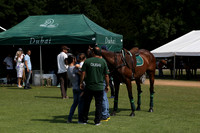 Zacara v Dubai in the Veuve Clicquot Gold Cup Polo Final Match 2013.07.21
