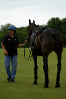 Maiz Dulce v Four Quarters Black in a Benson Cup Polo match 2013.06.19
