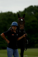 Maiz Dulce v Four Quarters Black in a Benson Cup Polo match 2013.06.19