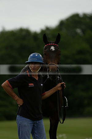Maiz Dulce v Four Quarters Black in a Benson Cup Polo match 2013.06.19