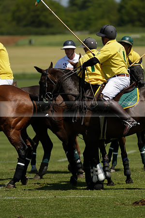 Maiz Dulce v Pluma Negra in a Jubilee 6 Goal Polo match 2013.05.27