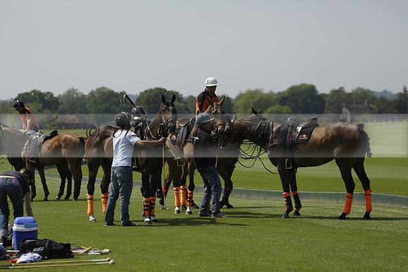 Four Quarters Orange v Montana in a Cicero Cup Polo match 2013.06.06