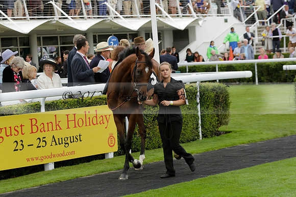 Race 6 Goodwood The British Stallion Studs Turf Club E.B.F. Fillies Stakes. 20130731. Race winner Ribbons owner Elite Racing Club