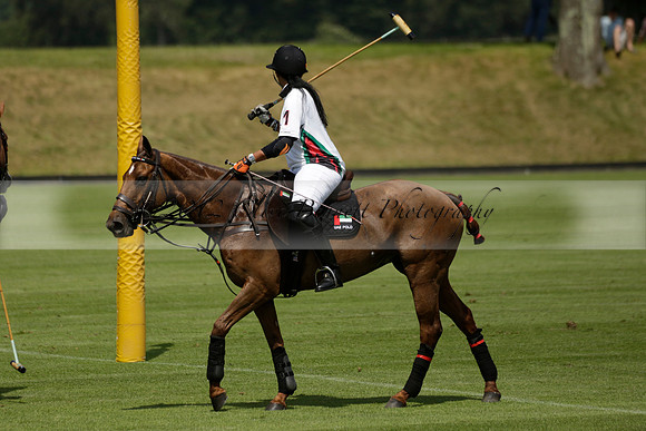 UAE Polo v El Remanso in a Veuve Clicquot Gold Cup Polo Match 2013.07.05