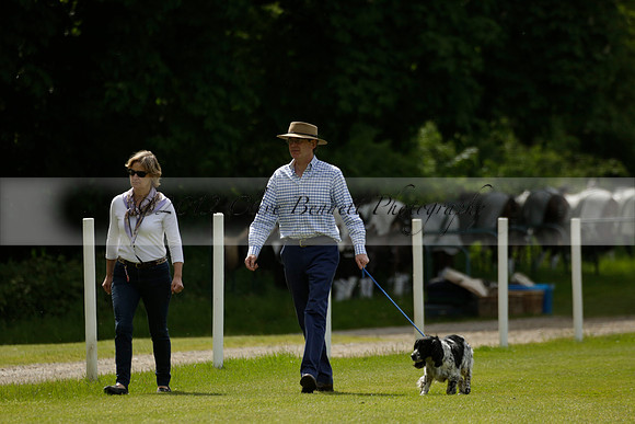 Las Estrellas v Four Quarters Blue in the final of the Jubilee Cup Polo match 2013.06.02
