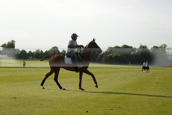 Shoreline v Cowdray Vikings in a Easebourne Cup Semi-final Polo match 2013.06.07