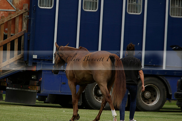 Dubai v La Bamba de Areco in a Veuve Clicquot Gold Cup Polo Match 2013.07.04
