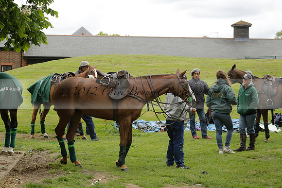 UAE Polo Team v Salkeld in a Queens Cup polo match 2013.05.23