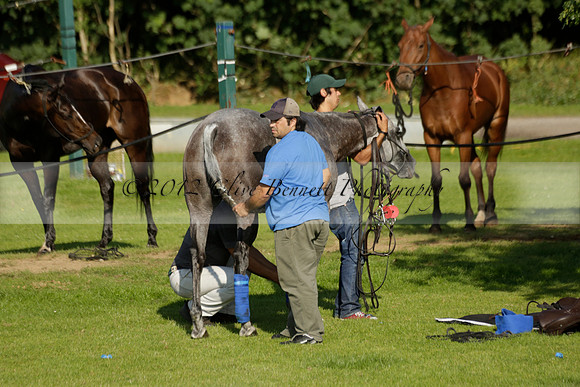 El Remanso v Emlor in a Veuve Clicquot Gold Cup Polo Match 2013.06.30