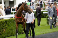 Race 6 Goodwood The British Stallion Studs Turf Club E.B.F. Fillies Stakes. 20130731. Race winner Ribbons owner Elite Racing Club