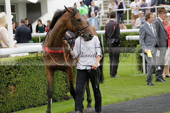 Race 6 Goodwood The British Stallion Studs Turf Club E.B.F. Fillies Stakes. 20130731. Race winner Ribbons owner Elite Racing Club