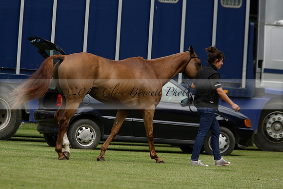Dubai v La Bamba de Areco in a Veuve Clicquot Gold Cup Polo Match 2013.07.04