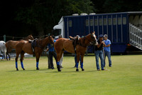 El Remanso v Sumaya in a Veuve Clicquot Gold Cup Polo Match 2013.07.13
