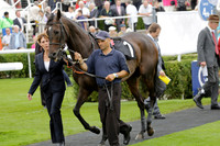 Race 6 Goodwood The British Stallion Studs Turf Club E.B.F. Fillies Stakes. 20130731. Race winner Ribbons owner Elite Racing Club