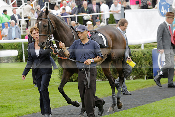 Race 6 Goodwood The British Stallion Studs Turf Club E.B.F. Fillies Stakes. 20130731. Race winner Ribbons owner Elite Racing Club