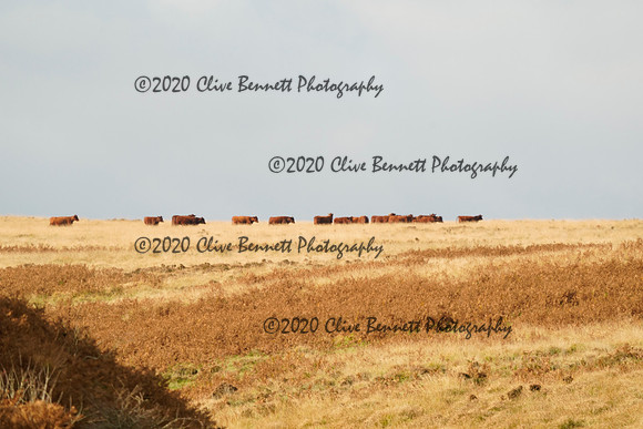 _CAB4189
