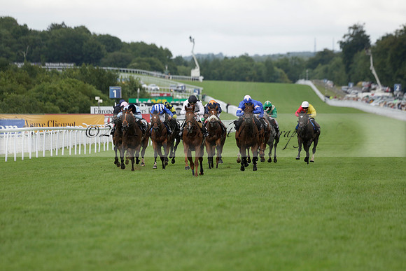 Race 6 Goodwood The British Stallion Studs Turf Club E.B.F. Fillies Stakes. 20130731. Race winner Ribbons owner Elite Racing Club