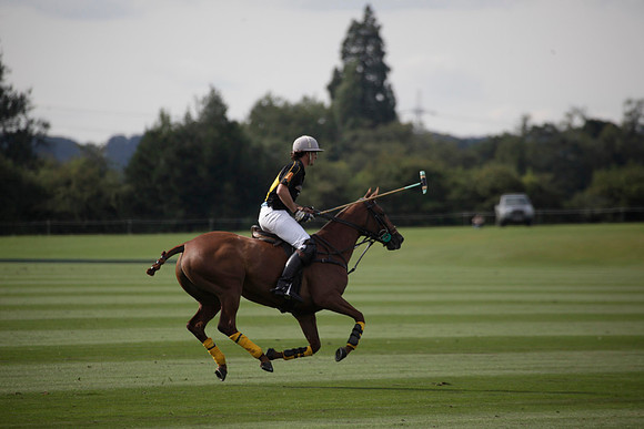 Montana v Maiz Dulce in the Uber 12 goal Final polo match played on Lawns 1 at Cowdray Park Polo Club on Sunday 26 August 2012