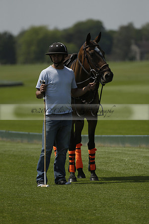 Four Quarters Orange v Montana in a Cicero Cup Polo match 2013.06.06
