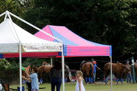 El Remanso v Sumaya in a Veuve Clicquot Gold Cup Polo Match 2013.07.13