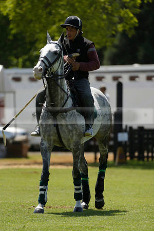 Black Bears v Salkeld in a Cartier Queens Cup polo match 2013.06.05
