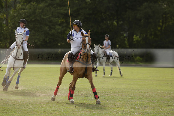 Thumos v Putney Architects in the -4 Goal Final at The Pro-Am City Polo Championships on Sunday 1 September 2013 at Ascot Park Polo Club. www.polopictures.co.uk