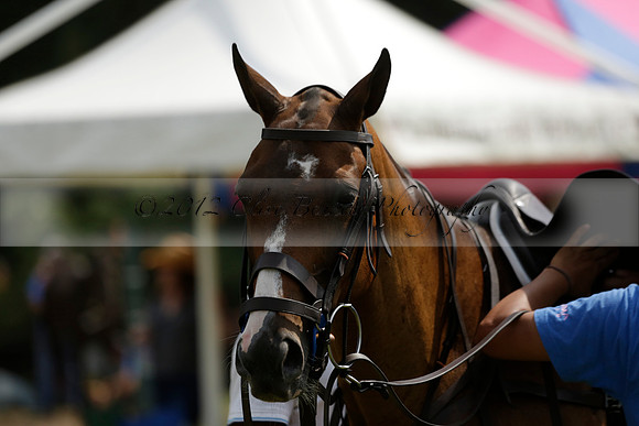 El Remanso v Sumaya in a Veuve Clicquot Gold Cup Polo Match 2013.07.13