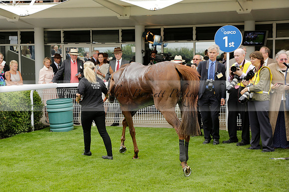 Race 6 Goodwood The British Stallion Studs Turf Club E.B.F. Fillies Stakes. 20130731. Race winner Ribbons owner Elite Racing Club