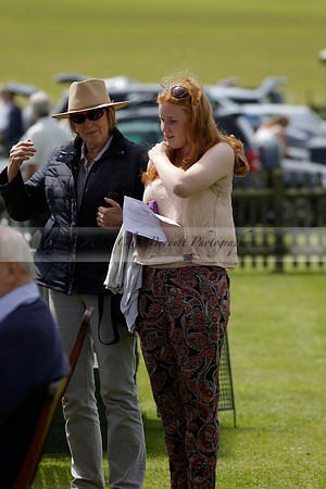 Enigma v La Bamba de Areco in a Veuve Clicquot Gold Cup Polo Match 2013.06.29