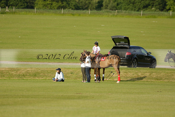 Shoreline v Cowdray Vikings in a Easebourne Cup Semi-final Polo match 2013.06.07
