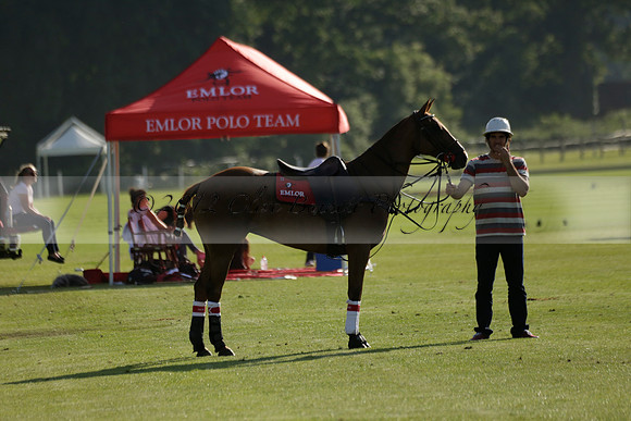 El Remanso v Emlor in a Veuve Clicquot Gold Cup Polo Match 2013.06.30