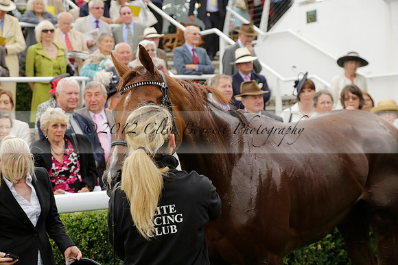 Race 6 Goodwood The British Stallion Studs Turf Club E.B.F. Fillies Stakes. 20130731. Race winner Ribbons owner Elite Racing Club